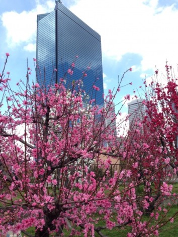 20140406_053853007_iOS