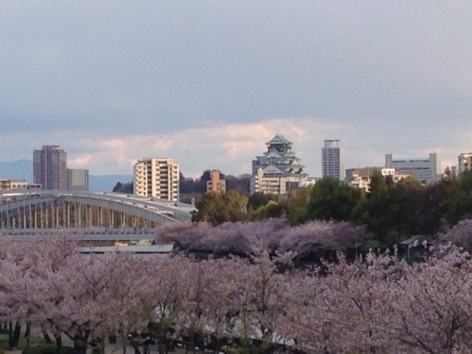 20140406_082316557_iOS