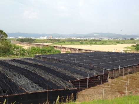 20140503_065436178_iOS