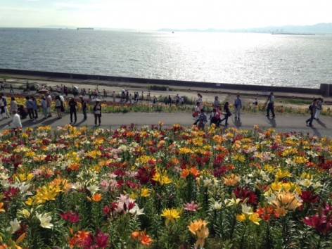 20140608_065826201_iOS