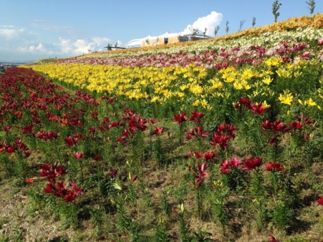 20140608_073733874_iOS