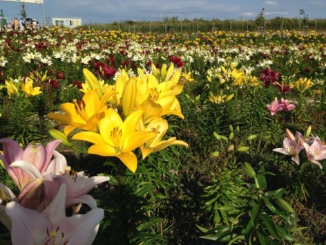 20140608_075645470_iOS