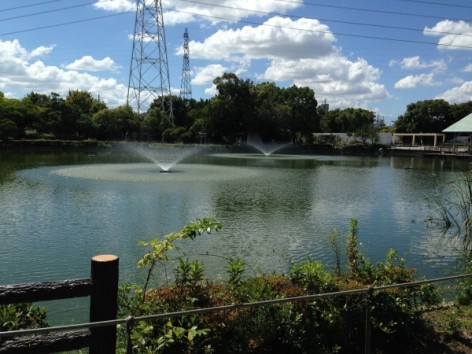 20140914_022156002_iOS