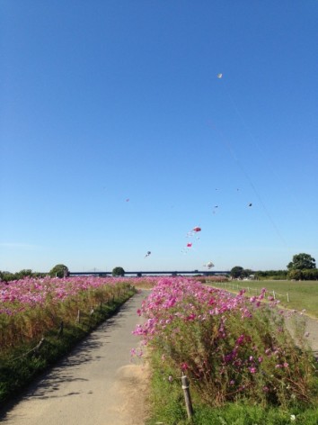 20141019_002802806_iOS