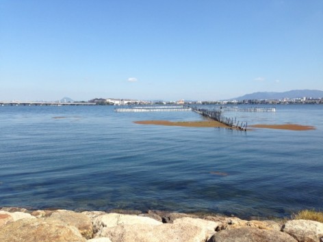 20141019_034953271_iOS