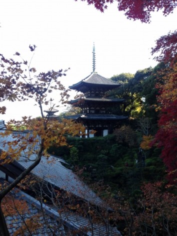 20141130_033445535_iOS