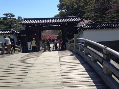 20150328_040202354_iOS