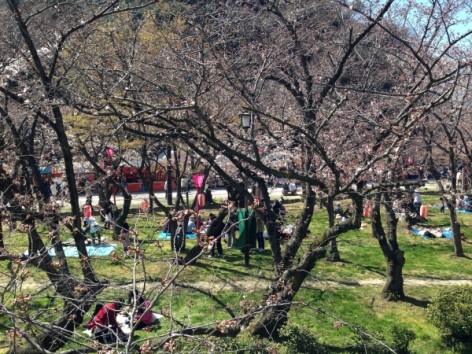 20150328_041231291_iOS