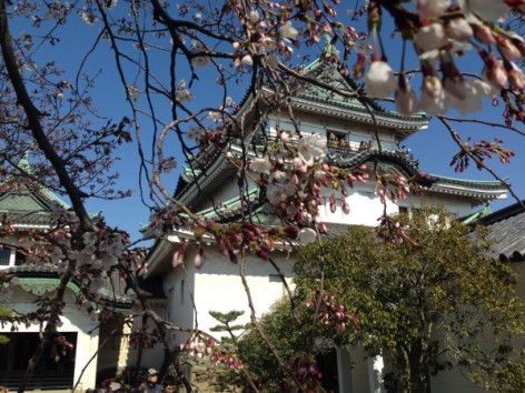 20150328_053452576_iOS