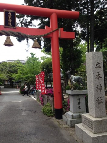 20150503_022019351_iOS