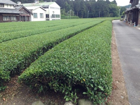 20150530_055912023_iOS