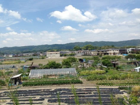 20150524_015306199_iOS