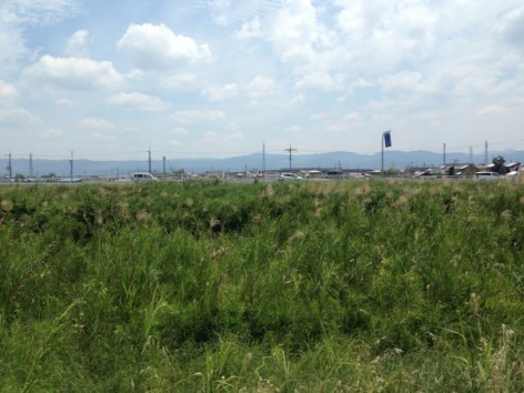 20150524_015509910_iOS