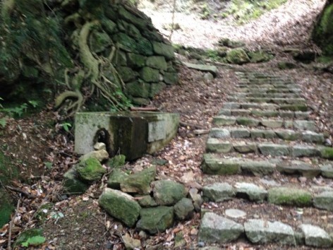 20150607_031353965_iOS