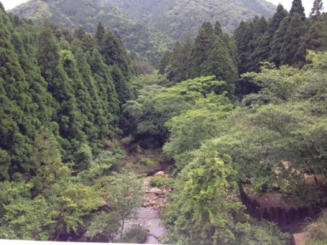 20150607_032538885_iOS